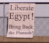 Liberate Egypt! Bring back the pharaoh!